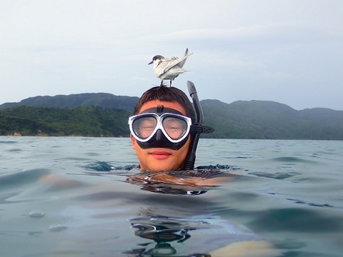 シュノーケリング