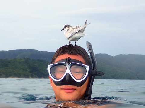 シュノーケリング