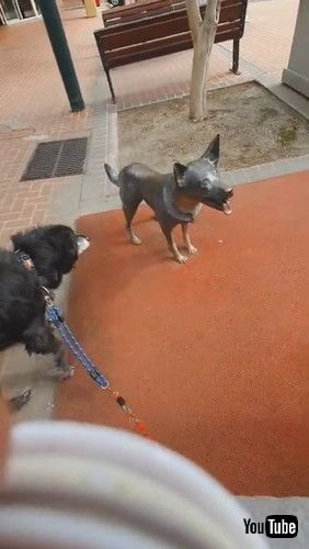 「Statue Makes Dog Suspicious || ViralHog」