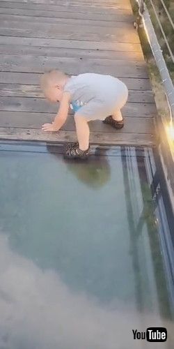 「Toddler Attempts to Cross onto Glass Bridge || ViralHog」
