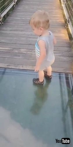 「Toddler Attempts to Cross onto Glass Bridge || ViralHog」