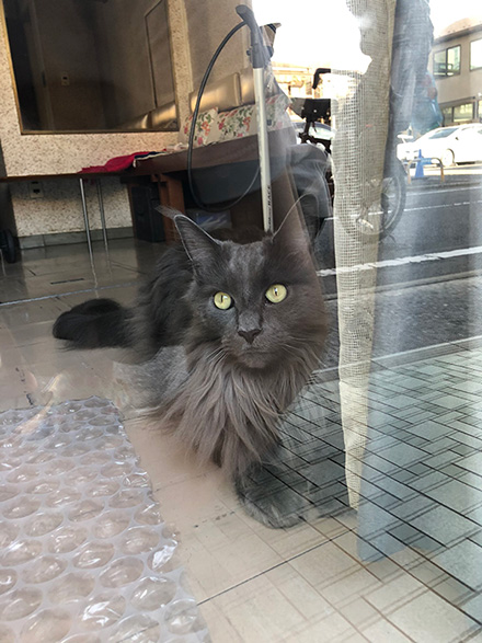 ほそいあやさん