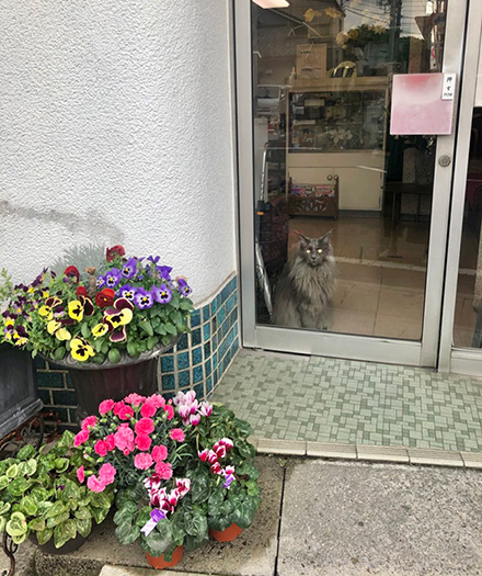 ほそいあやさん