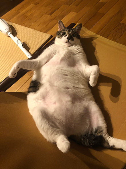 ほそいあやさん