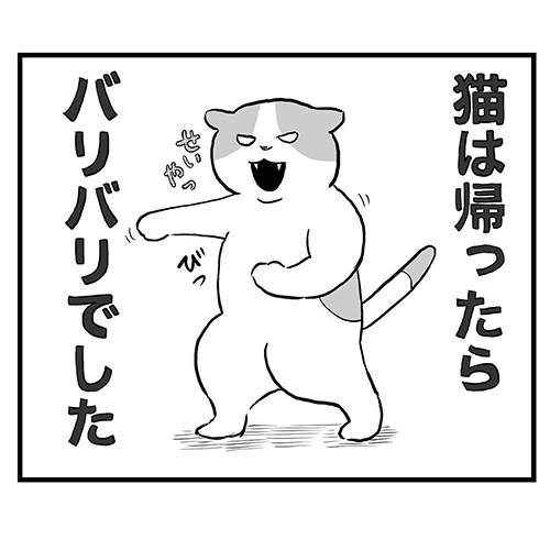 ぼけもん8