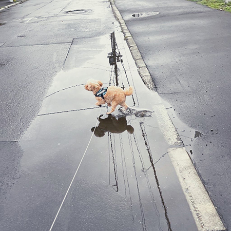 水たまりスタート