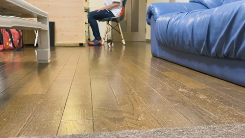 足が揃っちゃう子ネコちゃん