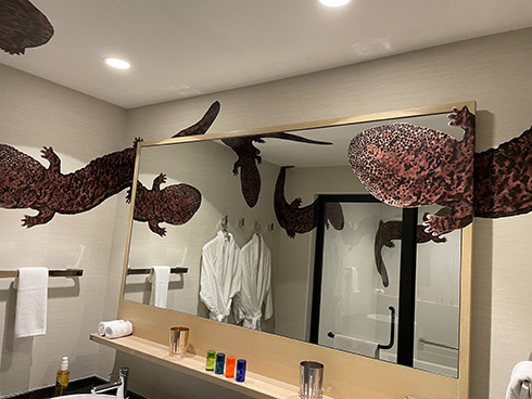 「想像以上にオオサンショウウオの圧やばい」　京都にあるホテルのオオサンショウウオルームがすごい