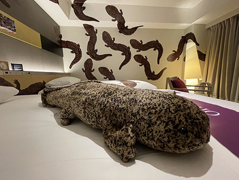 「想像以上にオオサンショウウオの圧やばい」　京都にあるホテルのオオサンショウウオルームがすごい