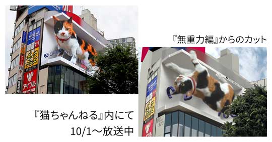クロス新宿ビジョン 3D 猫 巨大ネコ 無重力 猫ちゃんねる
