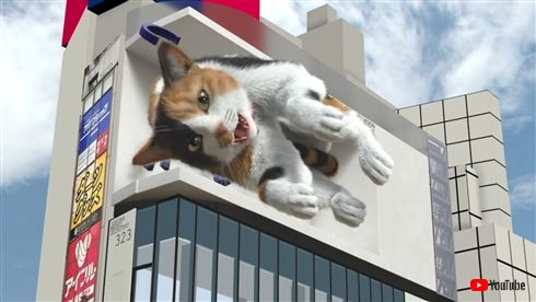 クロス新宿ビジョン 3D 猫 巨大ネコ 無重力 猫ちゃんねる