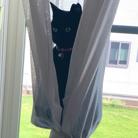 カーテンハンモックでゆったり