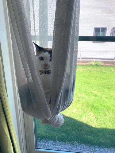 カーテンハンモックでゆったり