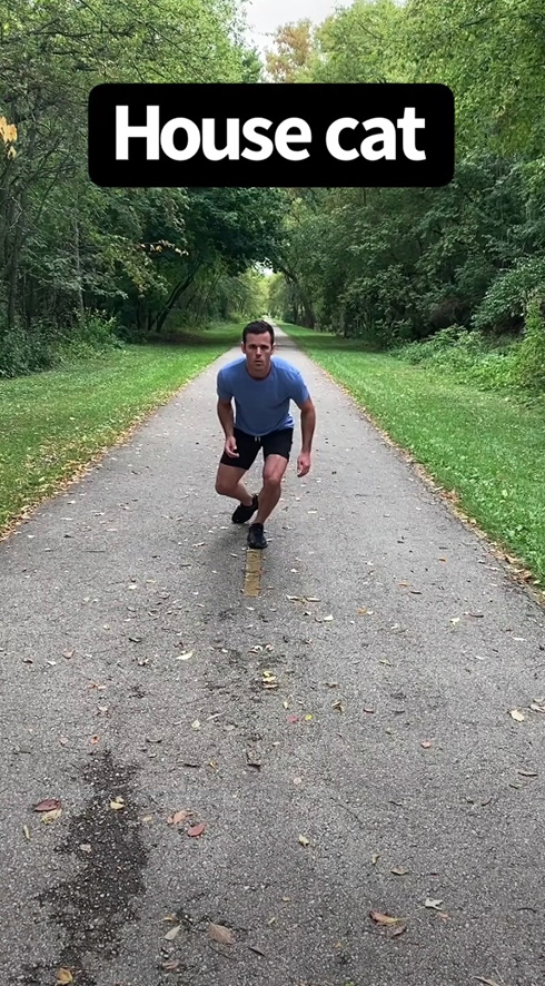 もしも動物が人間になったらどう走る？　人化したシカやカンガルーを表現するモノマネ動画に笑いが止まらない