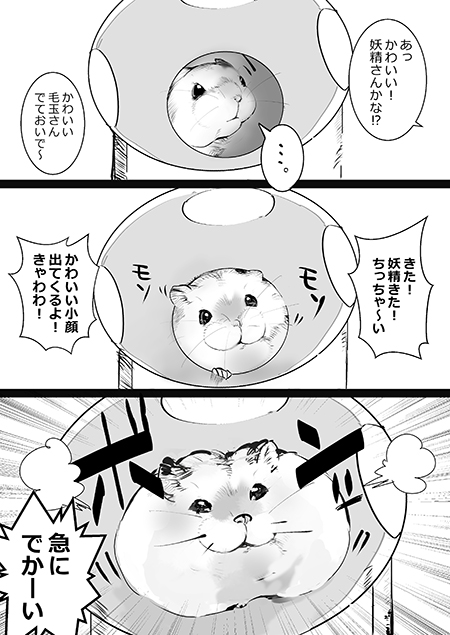 ボンって出てくるハムスター
