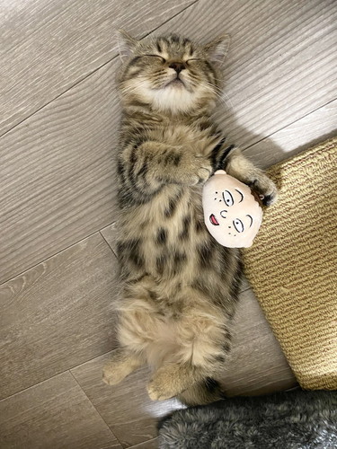 チョパえもんくんいろいろ