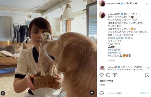 石田ゆり子 ペット ハニオ タビ 雪 猫 インスタ
