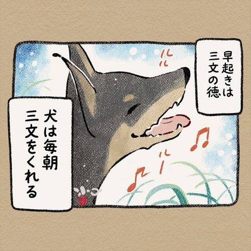 犬