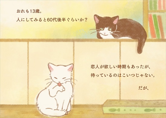 飼い主を亡くした保護猫が幸せになるまでのお話