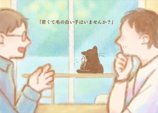 飼い主を亡くした保護猫が幸せになるまでのお話