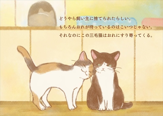 飼い主を亡くした保護猫が幸せになるまでのお話