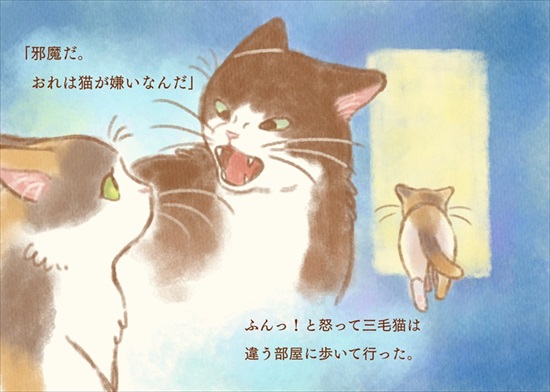 飼い主を亡くした保護猫が幸せになるまでのお話