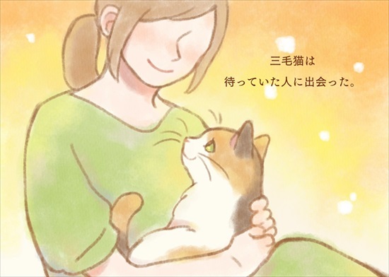 飼い主を亡くした保護猫が幸せになるまでのお話