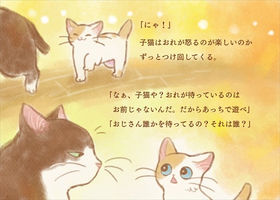 飼い主を亡くした保護猫が幸せになるまでのお話