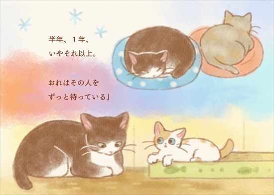 飼い主を亡くした保護猫が幸せになるまでのお話