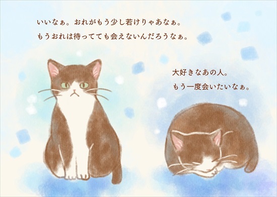 飼い主を亡くした保護猫が幸せになるまでのお話
