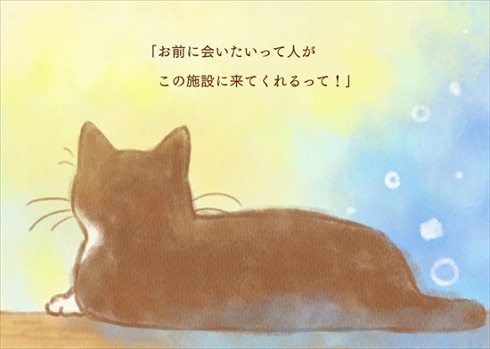 飼い主を亡くした保護猫が幸せになるまでのお話