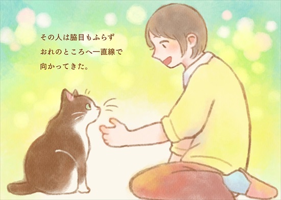 飼い主を亡くした保護猫が幸せになるまでのお話