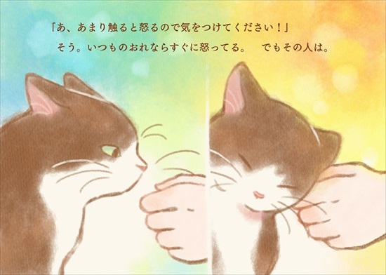 飼い主を亡くした保護猫が幸せになるまでのお話