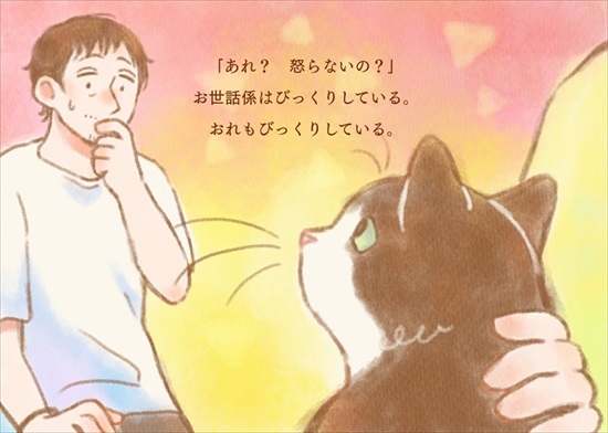 飼い主を亡くした保護猫が幸せになるまでのお話