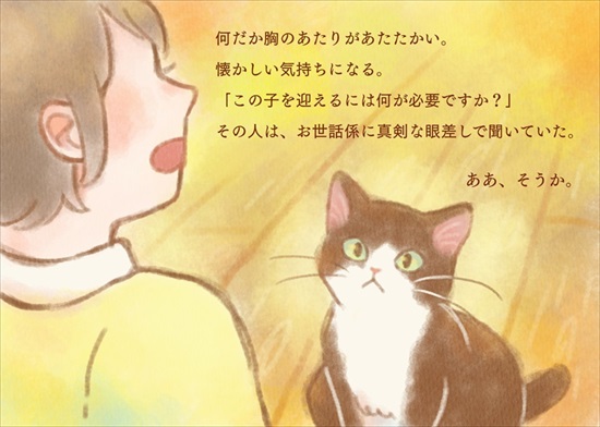 飼い主を亡くした保護猫が幸せになるまでのお話