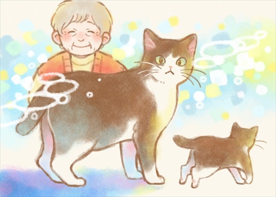 飼い主を亡くした保護猫が幸せになるまでのお話