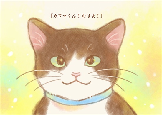 飼い主を亡くした保護猫が幸せになるまでのお話