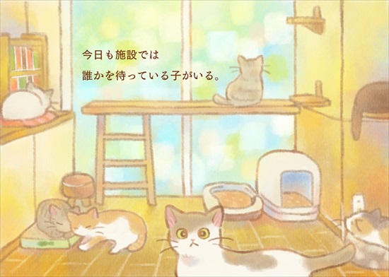 飼い主を亡くした保護猫が幸せになるまでのお話