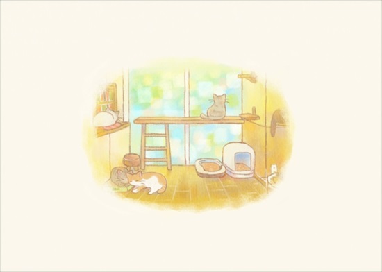 飼い主を亡くした保護猫が幸せになるまでのお話