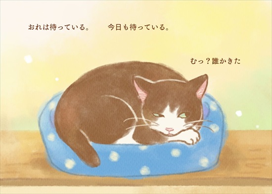 飼い主を亡くした保護猫が幸せになるまでのお話