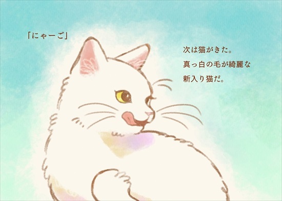 飼い主を亡くした保護猫が幸せになるまでのお話