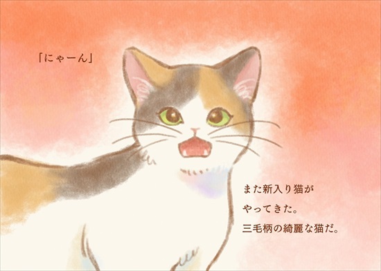 飼い主を亡くした保護猫が幸せになるまでのお話