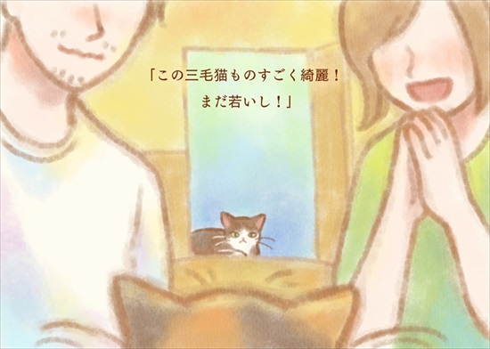 飼い主を亡くした保護猫が幸せになるまでのお話