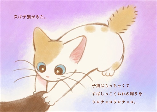 飼い主を亡くした保護猫が幸せになるまでのお話