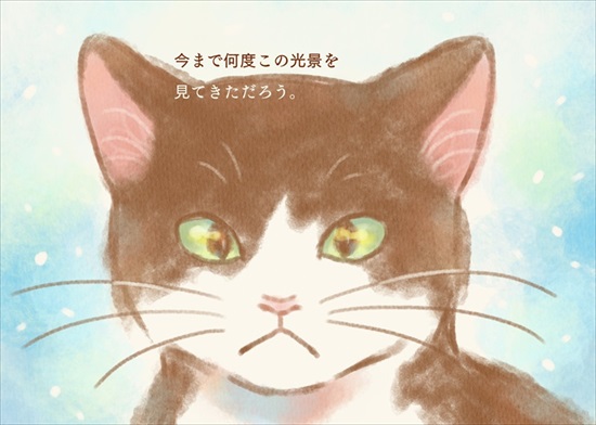 飼い主を亡くした保護猫が幸せになるまでのお話