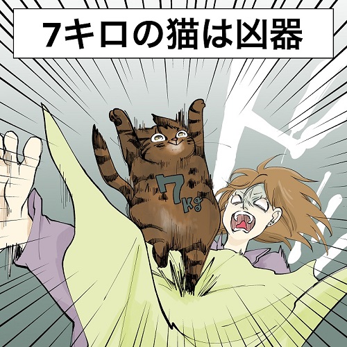 7キロの猫