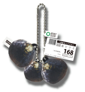 魚介 写実的 ぬいぐるみ