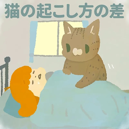 猫の起こし方の差1