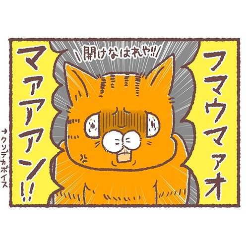 急に冷静になる猫4