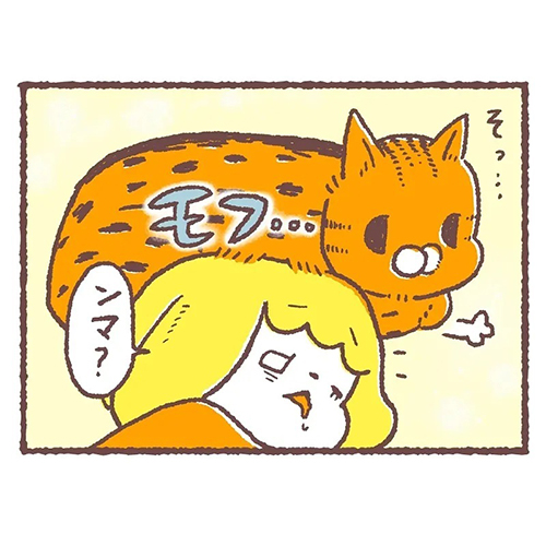 猫の起こし方の差3